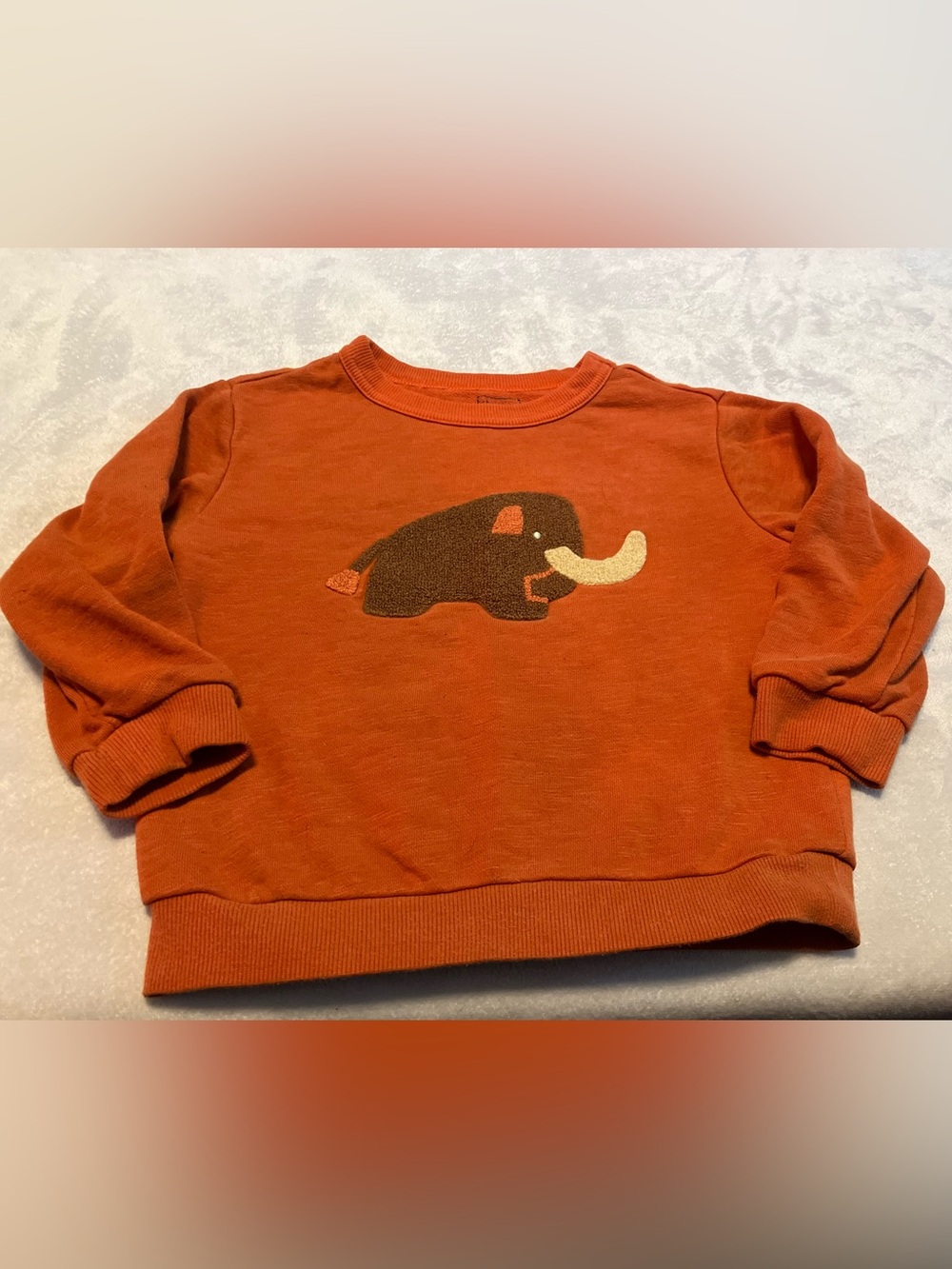 Rust Orange Kids Mammoth Sweatshirt with Appliqué